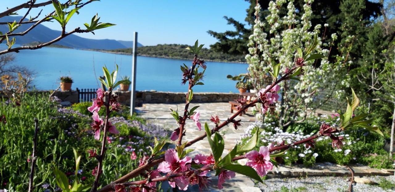 Blueline Guesthouse Agios Dimitrios  Bagian luar foto