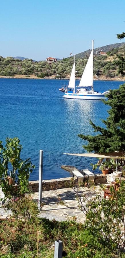 Blueline Guesthouse Agios Dimitrios  Bagian luar foto